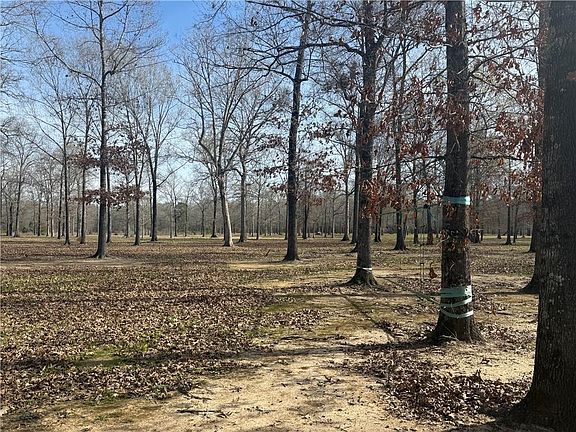 4th image of 195 Varvarosky Rd