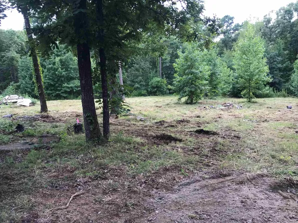 1618 Henderson Rd, Clinton, AR 72031