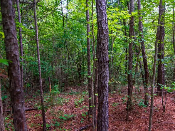 122 Lower Blue Springs Rd, Hamilton, GA 31811