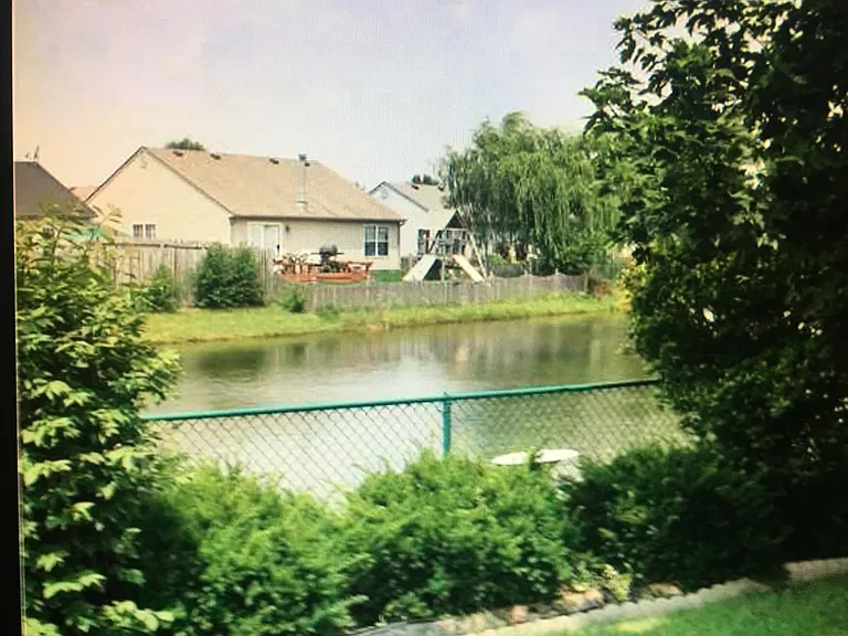 Pond in the back