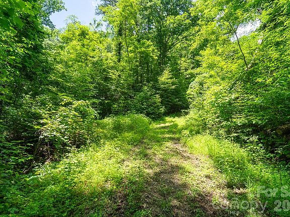 3rd image of Indian Flats Dr