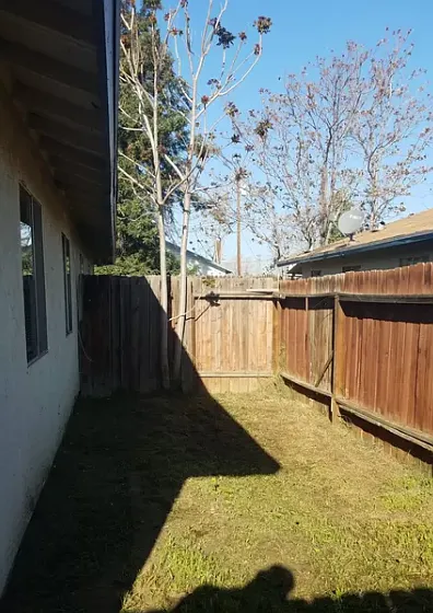 Typical Backyard
