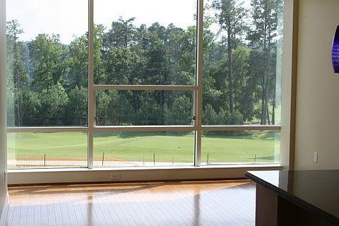 Living Room window