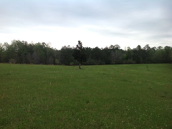 5th image of 116 Anastasia Dr #4187250000