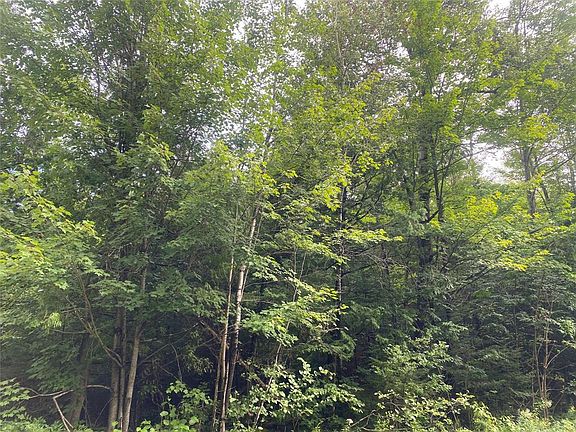 5th image of ON Maple Ridge Road