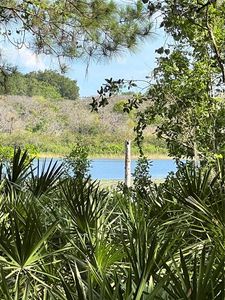 Malauka Radl LOT 14, Ocklawaha, FL, 32179