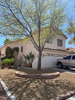 1720 Mexican Poppy Street - 1 — Photo 4