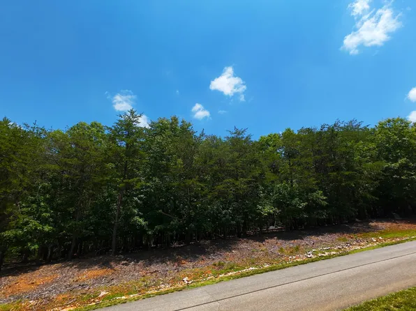 LOT 61 Garrison Rdg, Pittsville, VA 24139