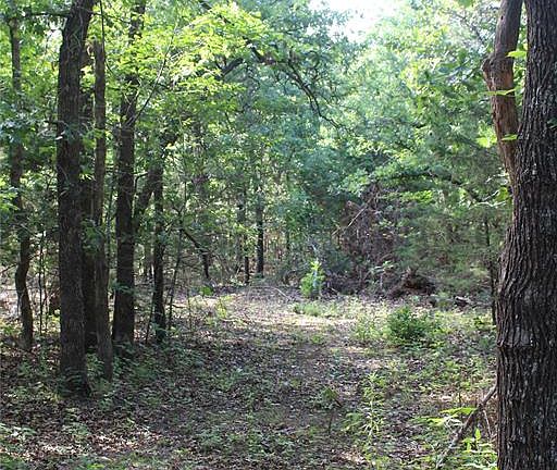 3rd image of S Bedrock Cir Lot 66