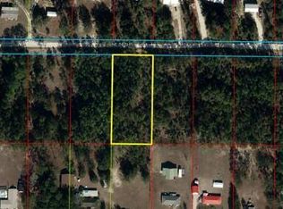 NE 74th Pl, Bronson, FL 32621