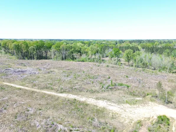 Pettey Rd, Forest, MS 39074