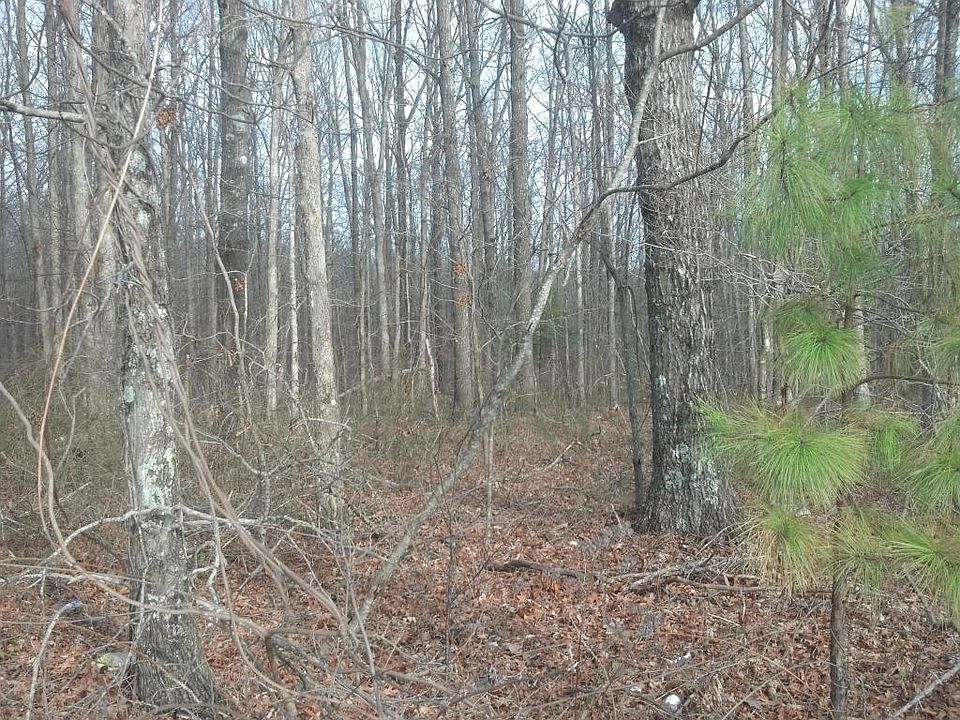 2nd image of 598 Woodland Ridge Rd #3