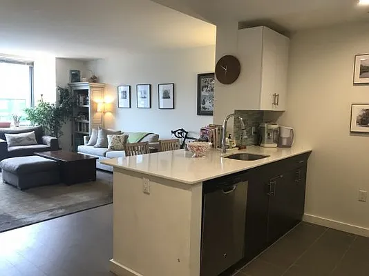 Rented by NY Living Solutions | media 2