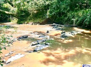 NULLB Rainey Rd, Chesterfield, SC 29709