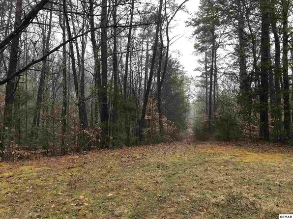 Hidden Cove Way, Sevierville, TN 37876