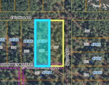 24588 E Trolling Ave, Talkeetna, AK, 99676