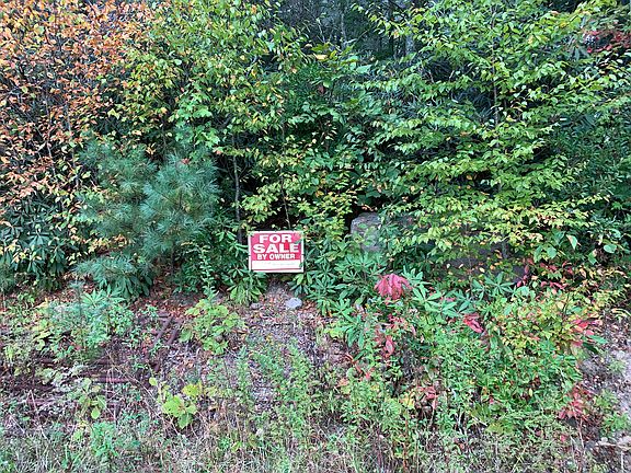 5th image of Booger Hollow Trl