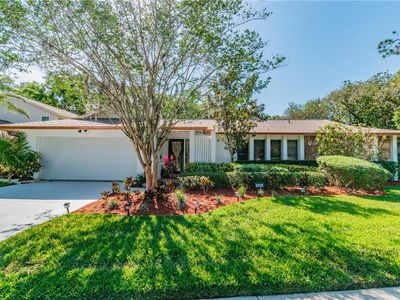 14932 Lake Forest Dr, Lutz, FL, 33559
