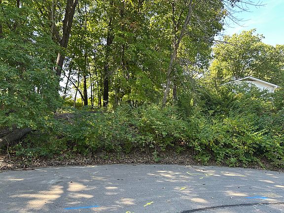 5th image of Belleview Ct