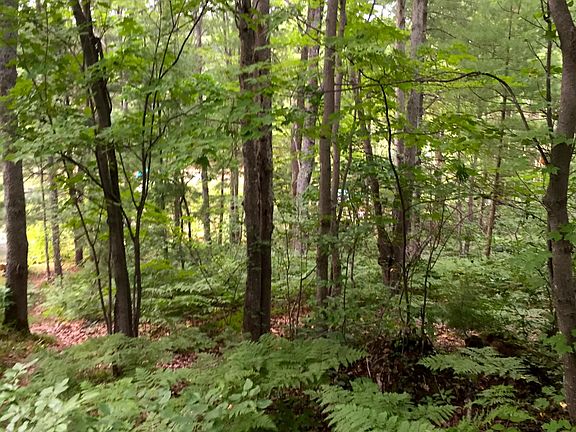 5th image of Leelanau Trl