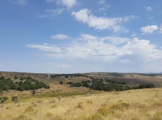 160 Acres, Wells, NV 89835