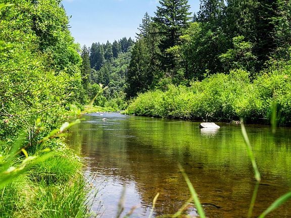 3rd image of 10842 Washougal River Rd