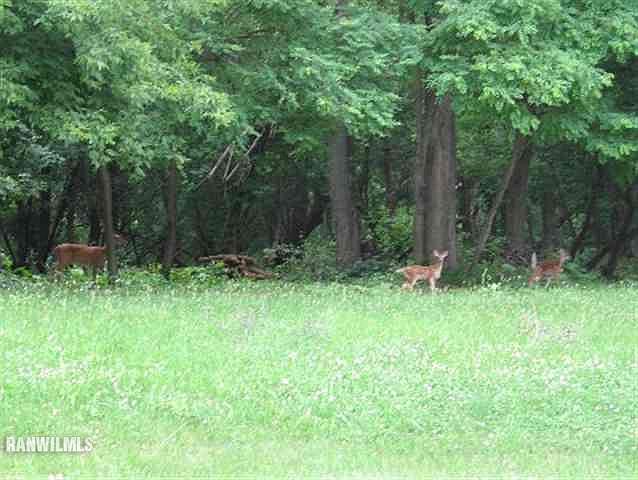 1st image of 19-55 Woodland Ct