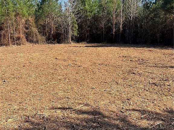 2nd image of Robert Bateman Rd