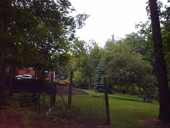 large back yard with garden