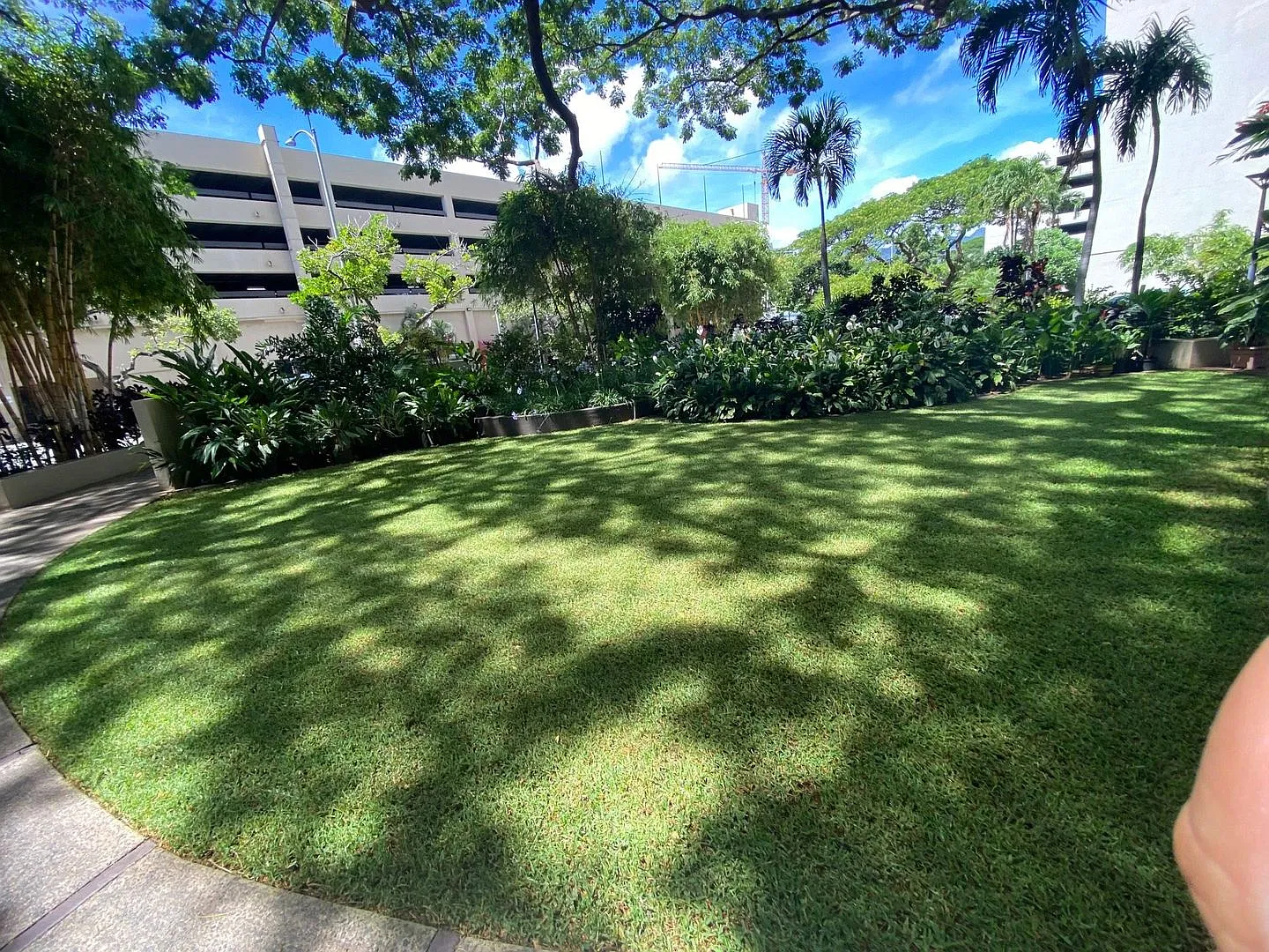 Honolulu Tower 3 bedroom — Photo 2