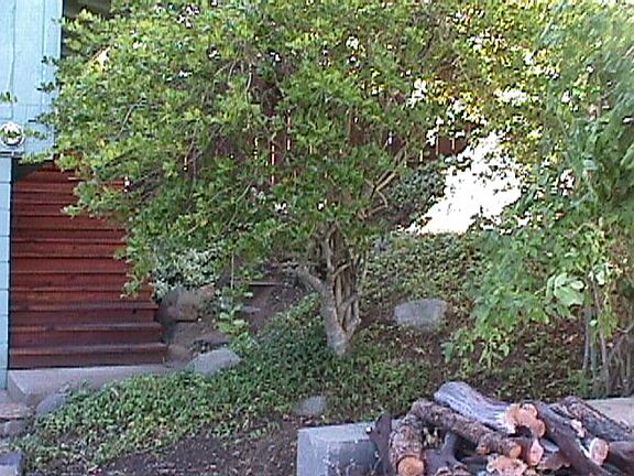4th image of 820 Mesa Dr