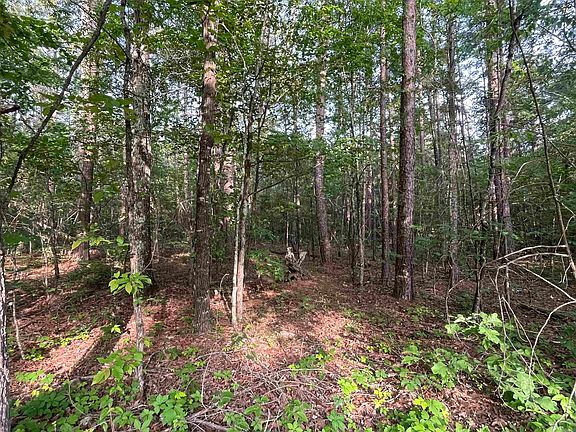 3rd image of 22 Brown Rd