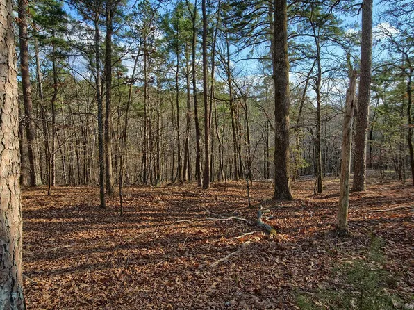 11 Acaso Ln, Hot Springs Village, AR 71909