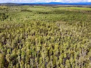 Nhn Triple H Rd, Delta Junction, AK 99737