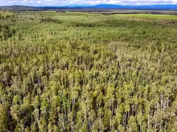 Nhn Triple H Rd, Delta Junction, AK 99737