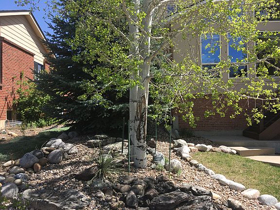 Front landscaping detail
