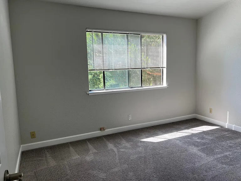 2524 Charlene Ln — Photo 52
