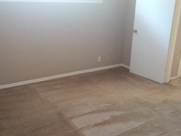 2901 Helena Ave — Photo 29