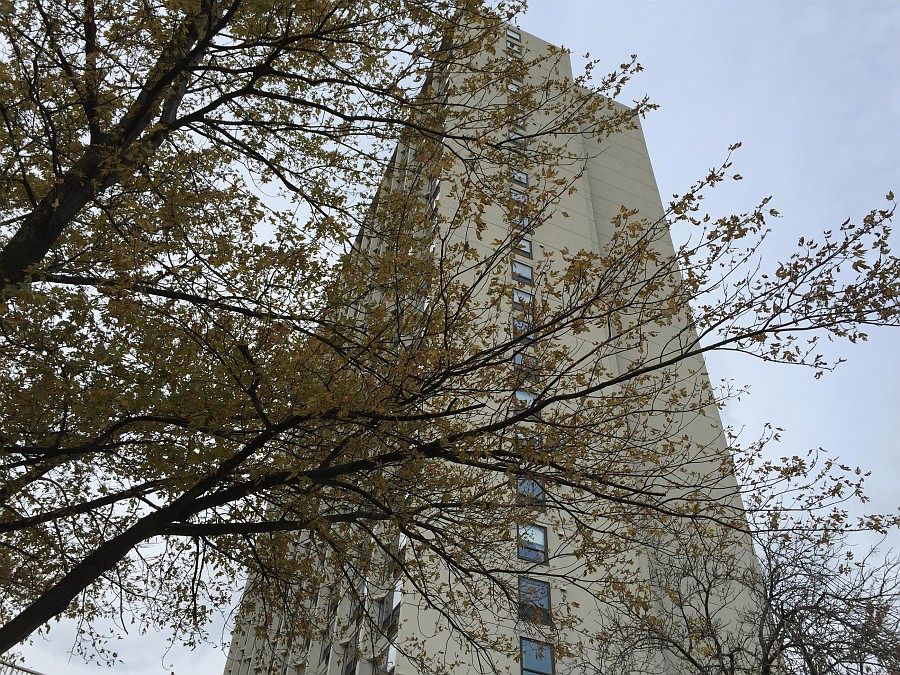 1st image of 5100 N Marine Dr APT 11F
