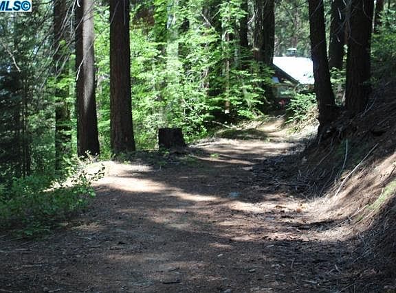 5th image of 54862 Ponderosa Dr