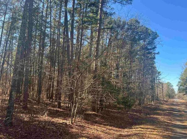 6 Mitchell Rd Lot 6, Higden, AR 72067