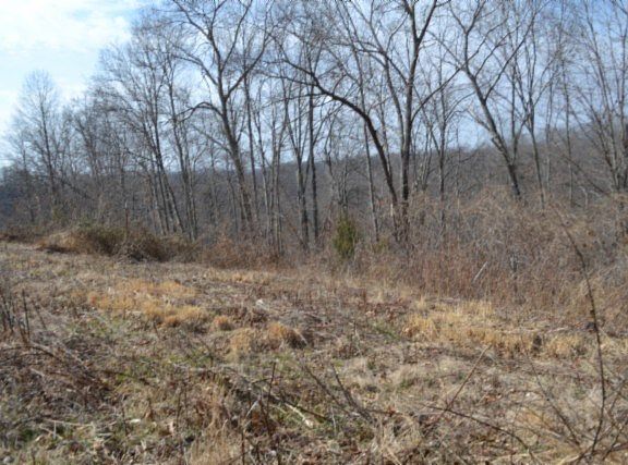 5th image of Hush Hollow Ln