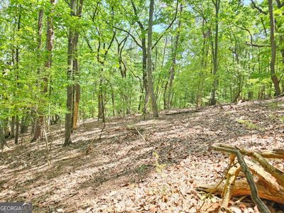 0 Turnbury Ln, Jasper, GA, 30143