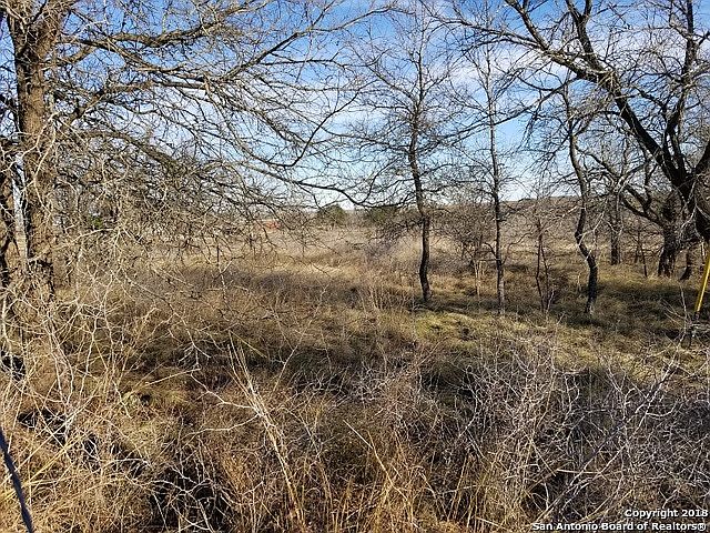 1st image of 136 Elm Country Dr