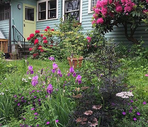 side of the house.