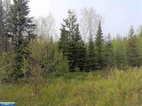 X Townline Rd, Hibbing, MN 55746