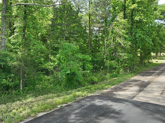 5th image of 0 Snake Creek Rd Lot 13