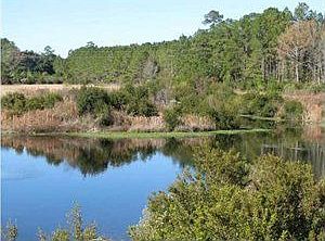 Beautiful deep pond
