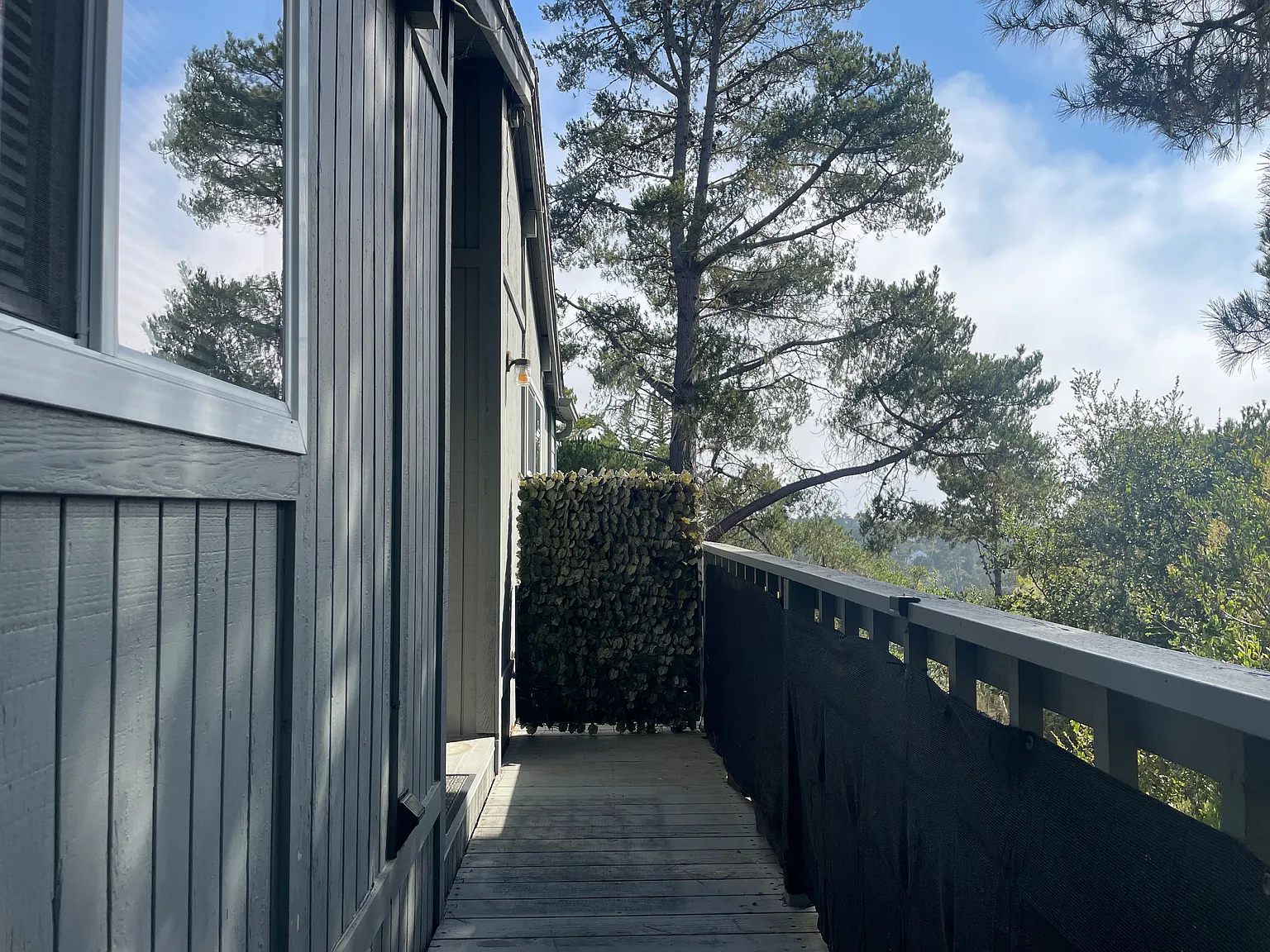 Northampton St, Cambria — Photo 1