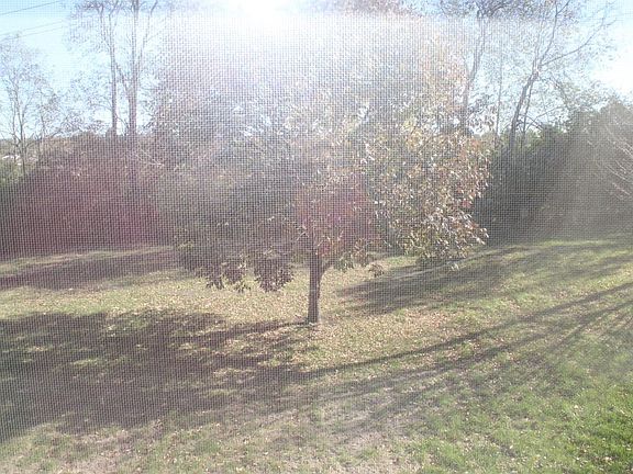 3rd image of 131 Castlewood Dr